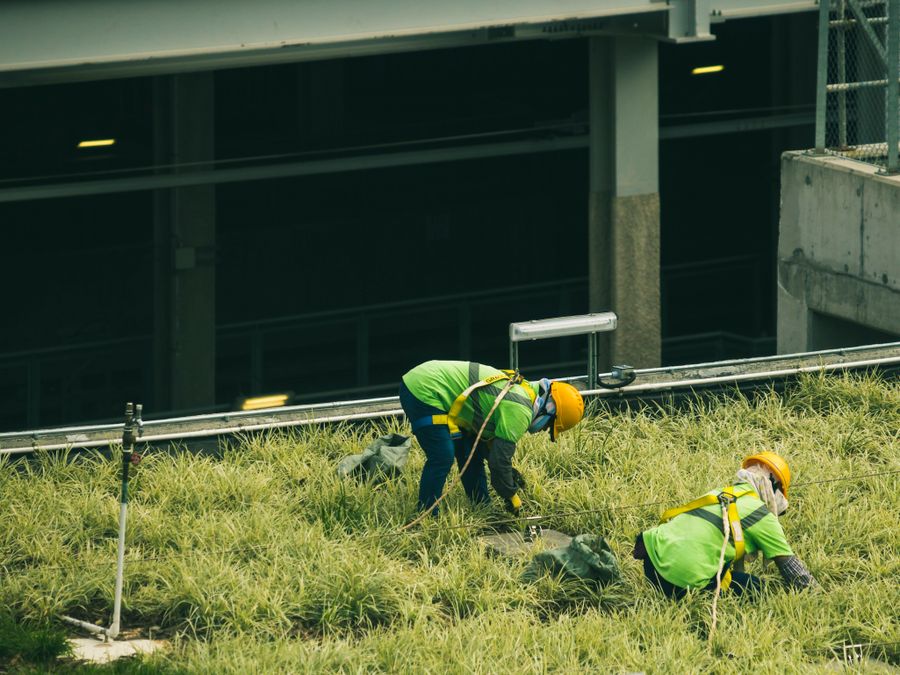 Bridge Inspection & Repair Programme — site photo