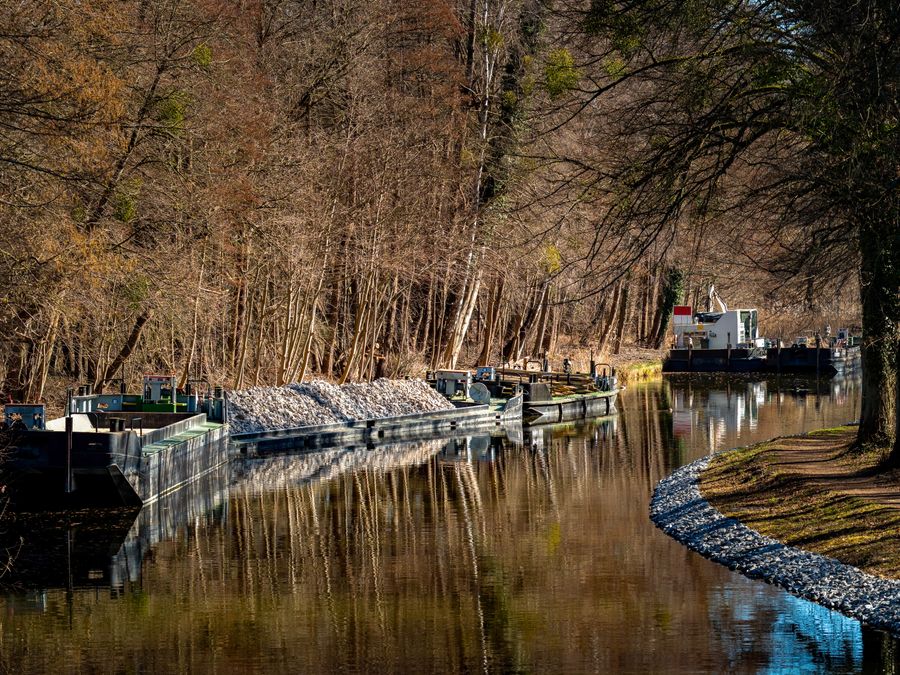 Constructed Wetland Restoration — site photo